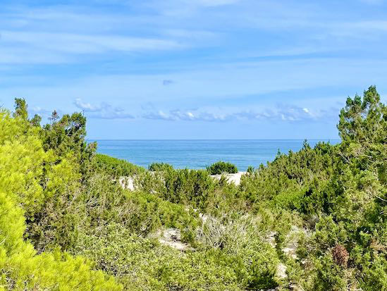 Spiritual coaching Franziska Heyde